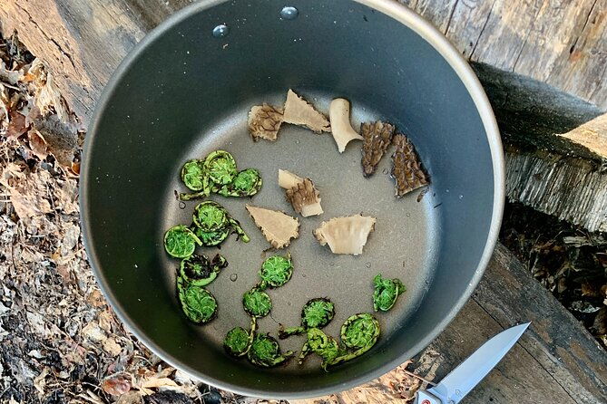 backcountry-eats-foraging-treats