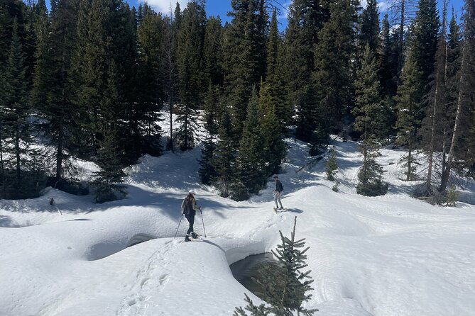 backcountry-snowshoeing-in-pristine-utah-mountains