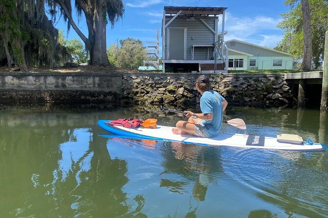 backland-alligator-electric-paddle-tour