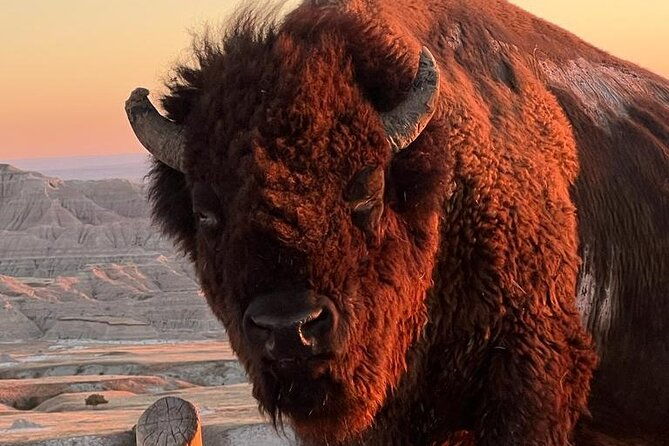 badlands-wall-drug-and-agate-hunts-adventure