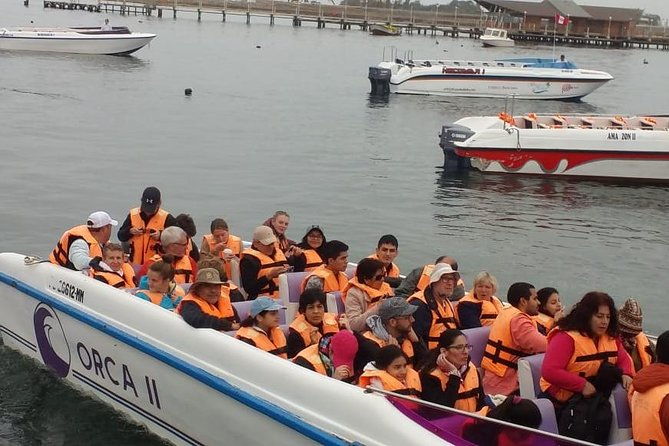 ballestas-islands-group-tour-from-paracas