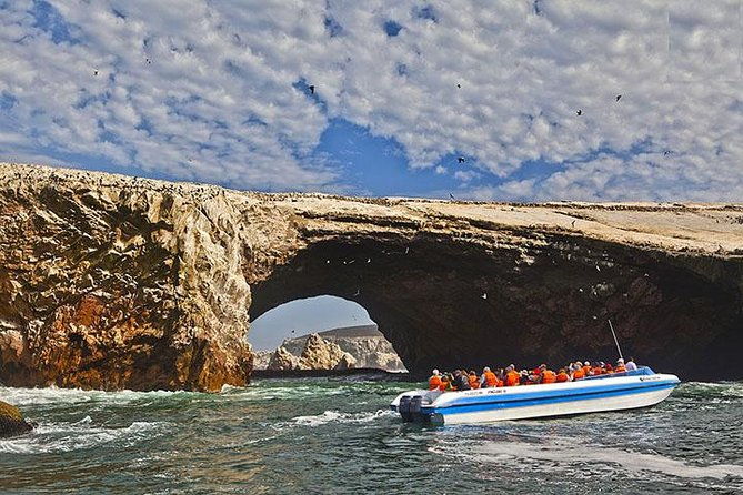 ballestas-islands-group-tour-from-san-martin-port