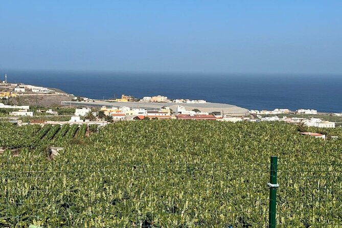 banana-museum-rum-distillery-winery-with-tasting-premium-tour