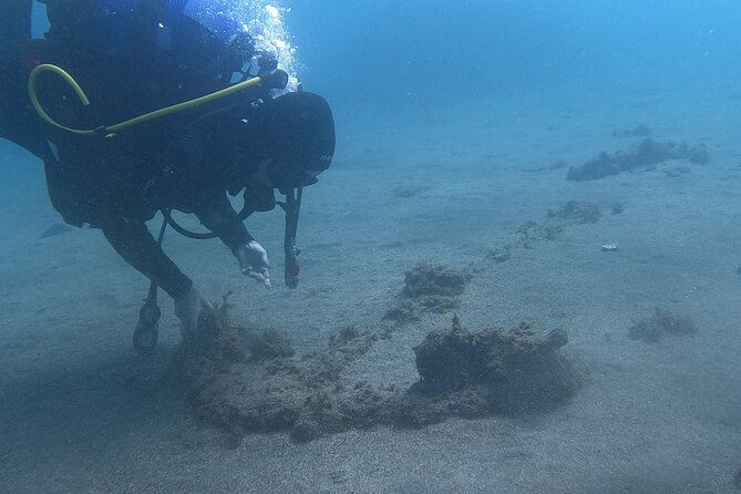 baptism-of-scuba-diving-in-a-shipwreck-on-terceira-island