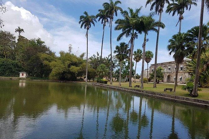 barbados-amazing-full-day-private-rural-excursion