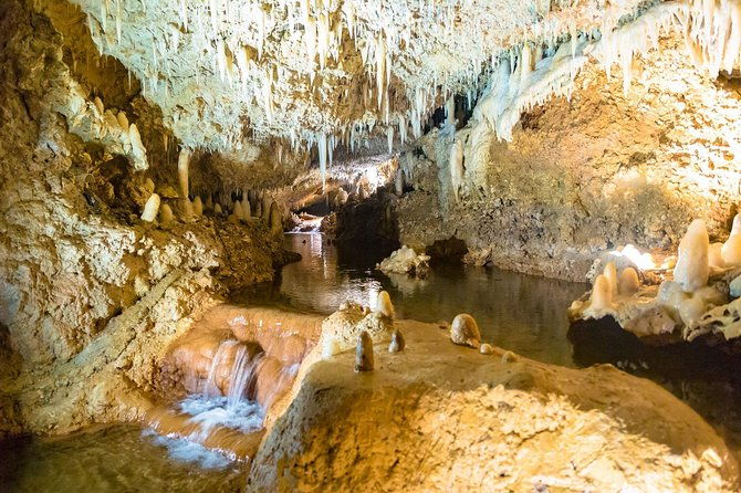 barbados-harrisons-cave-and-atlantis-submarine-dive-tour