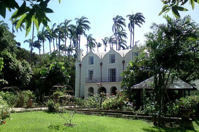 barbados-harrisons-cave-and-st-nicolas-abbey-tour