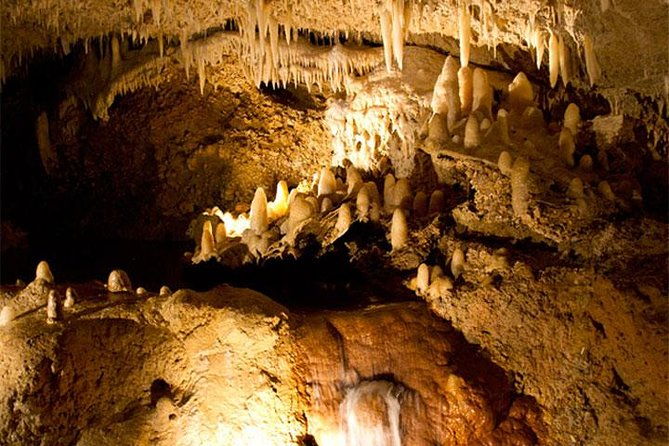 barbados-harrisons-cave-tram-tour-and-boat-cruise-snorkel-adventure