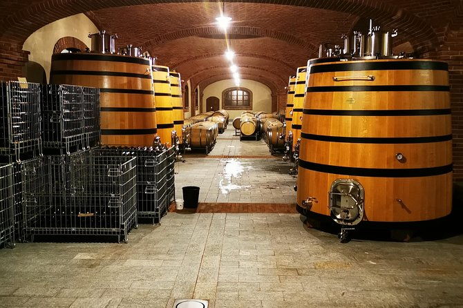 barolobarbaresco-wine-tour-with-a-local-winemaker