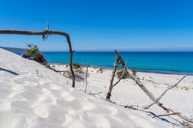 beach-tour-porto-pino-and-piscinni