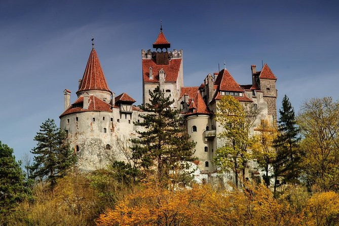 bear-sanctuary-bran-dracula-castle-peles-castle-from-brasov-2