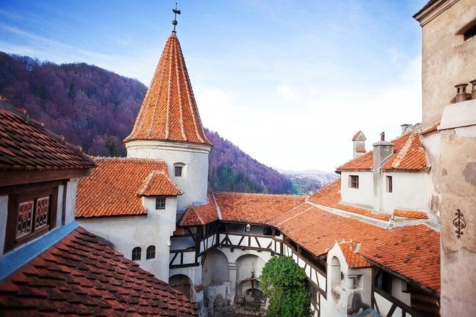 bears-sanctuary-dracula-castle-and-poiana-brasov-private-day-tour-from-brasov
