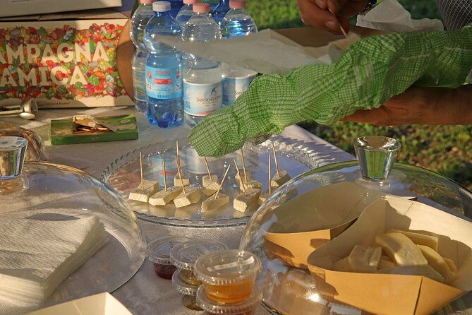 beekeeping-farm-tour-and-tasting-experience-in-lazise