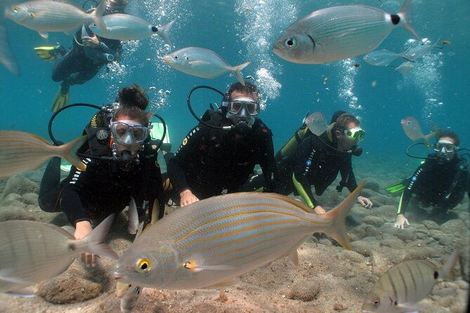beginner-dive-from-playa-chica-with-instructor