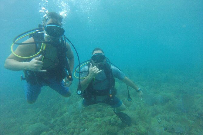 beginner-scuba-diving-guided-tour-no-experience-required