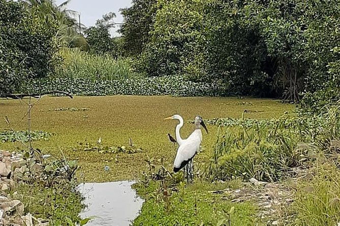 belize-city-history-culture-nature-and-rum-tasting