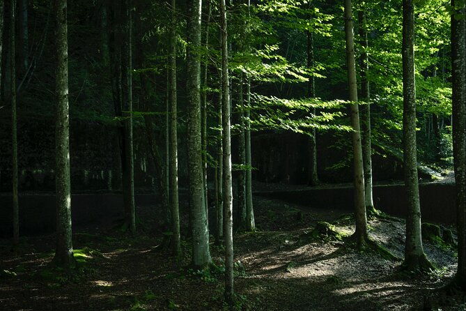 berchtesgaden-obersalzberg-private-half-day-wwii-historical-tour-2