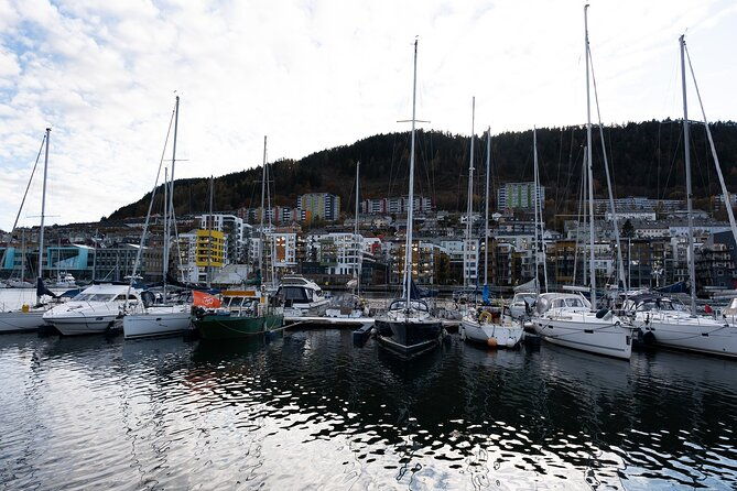 bergen-guided-tour-by-minibus-with-local-guide-photostops
