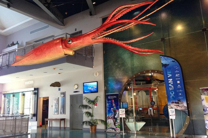 bermuda-underwater-exploration-institute-and-aquarium-adventure-day