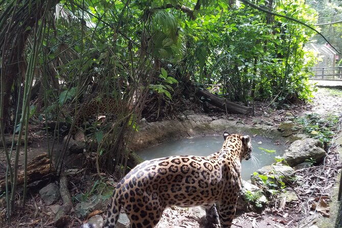 best-activities-in-san-ignacio