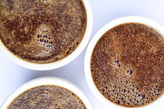 best-coffee-brewing-workshop-in-avoeden-cafe