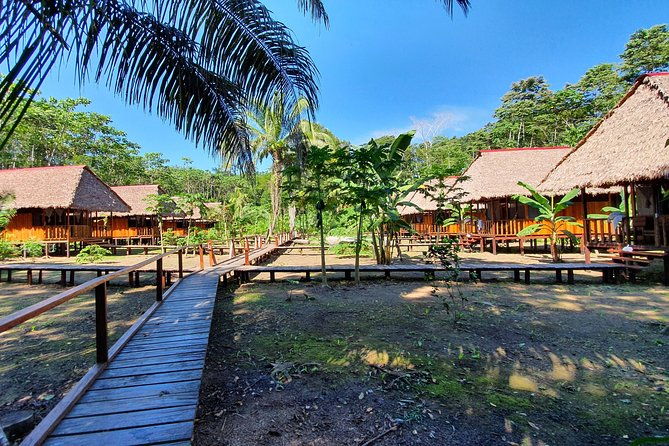 best-of-tambopata-2-nights-by-junglepro