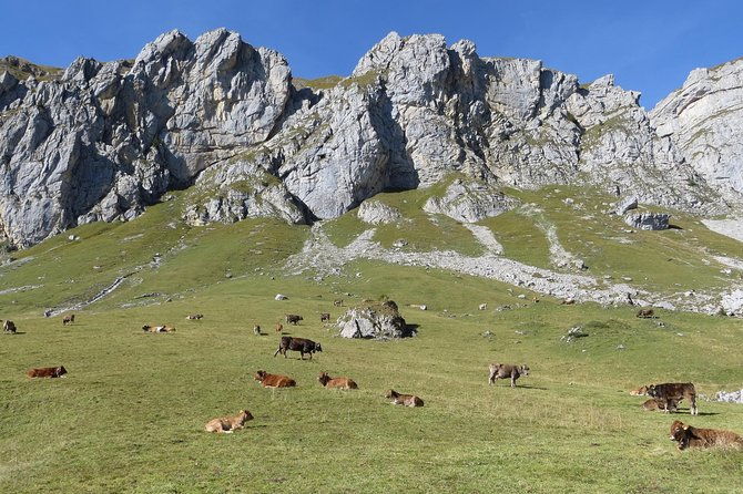 best-of-the-uri-alps-a-fjord-like-lake-glorious-peaks-and-sustainable-tourism
