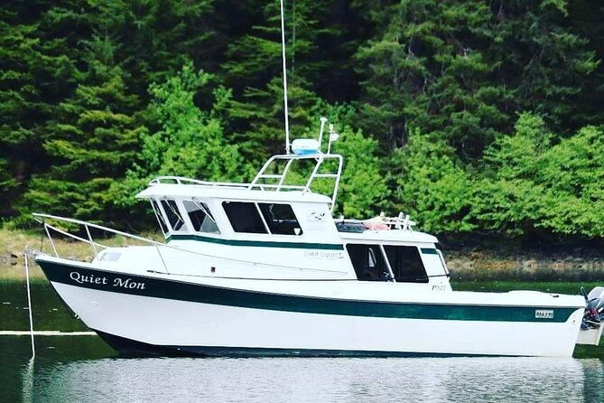 best-whale-watching-and-wildlife-shore-excursion-in-sitka