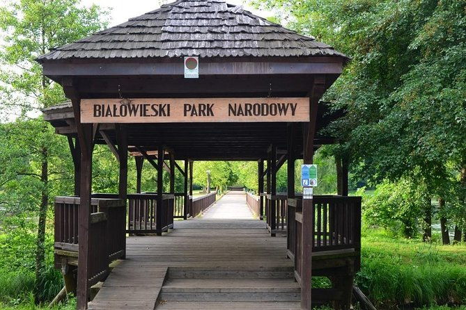 bialowieza-national-park-small-group-tour-from-warsaw-with-lunch-included