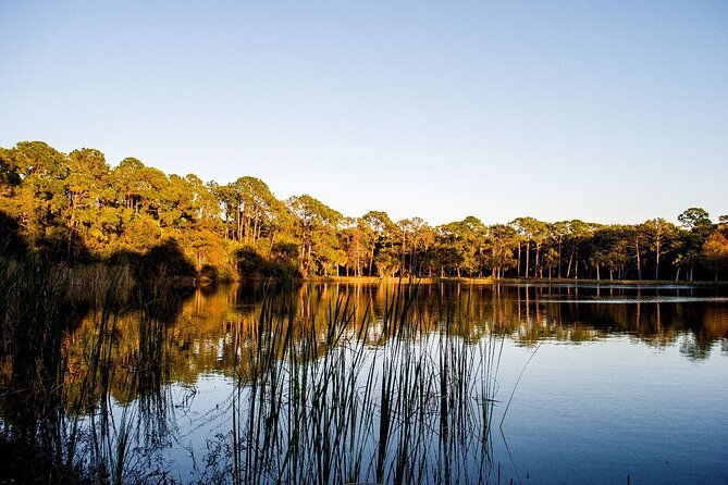 big-cypress-national-preserve-self-guided-driving-audio-tour