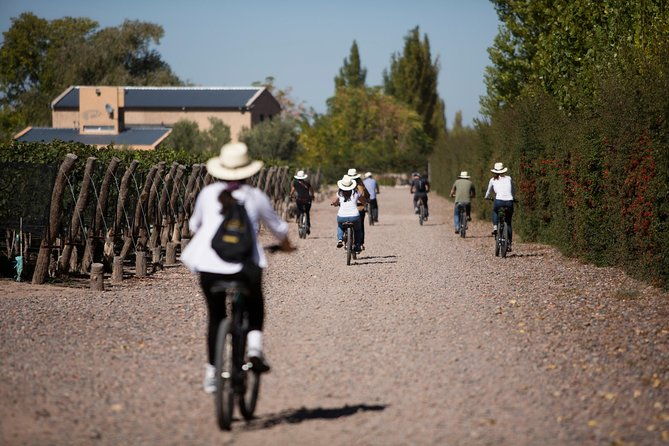 bike-tour-in-mendoza-wine-country