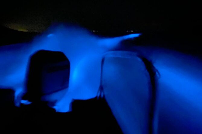 bioluminescence-experience-from-curu-wildlife-refuge