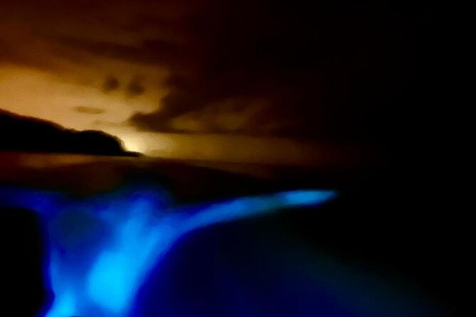 bioluminescence-tour-by-boat