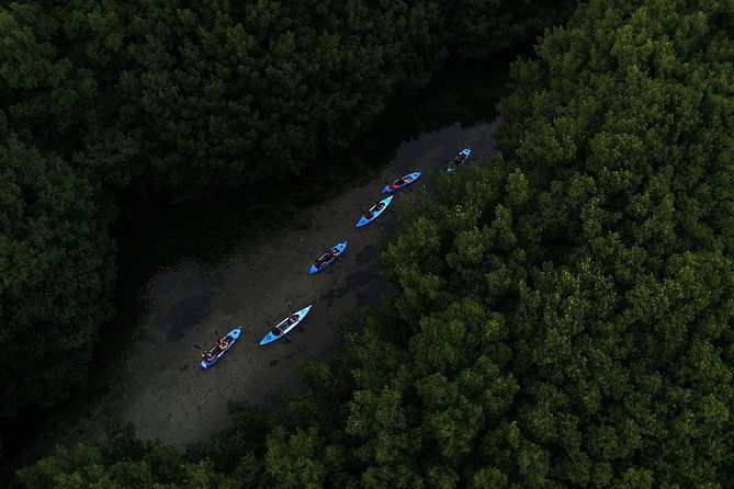 bioluminescent-bay-kayak-adventure-tour-from-san-juan