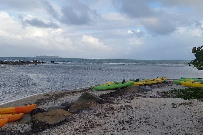 bioluminescent-bay-night-kayak-experience