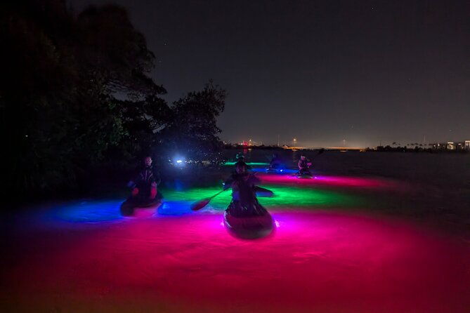 bioluminescent-comb-jelly-led-kayak-paddle-board-excursion