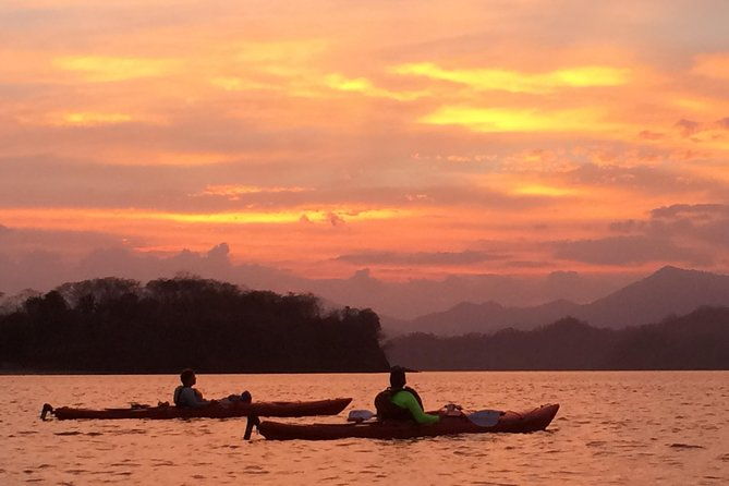 bioluminescent-kayak-tour