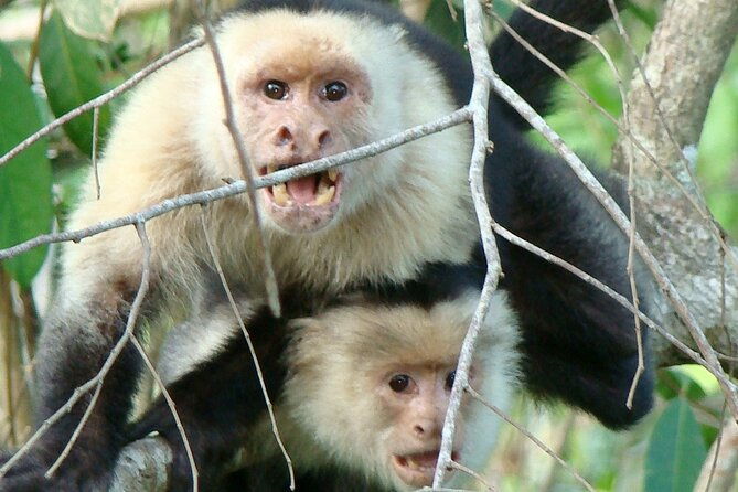bird-watching-and-wildlife-tour