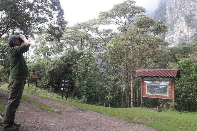 birding-nature-to-chicaque-cloud-forest-nature-reserve