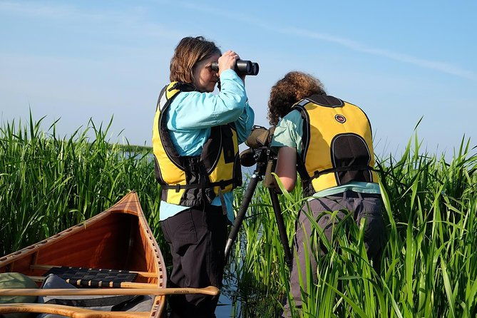 birdwatch-premium-guided-canoe-tour-at-cape-vente-nemunas-delta-regional-park