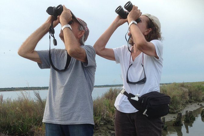 birdwatching-by-boat-in-a-small-group-in-the-pialassa-baiona