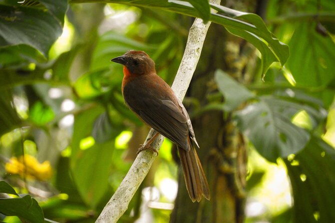 birdwatching-in-a-private-nature-reserve