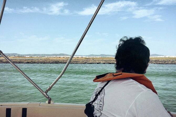 birdwatching-in-ria-formosa-eco-boat-tour-from-faro