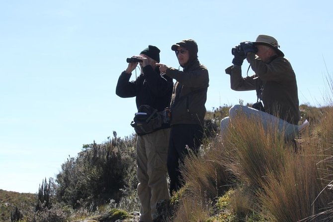 birdwatching-tour-in-cajas-national-park-from-cuenca