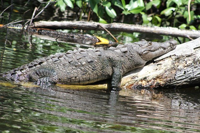 black-river-safari-and-ys-falls-tour-from-montego-bay