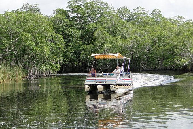black-river-safari-ys-falls-plus-floyds-pelican-bar-private-tour