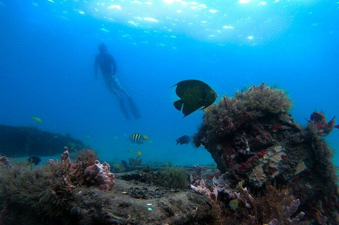 blue-heron-bridge-guided-snorkel-tour-2