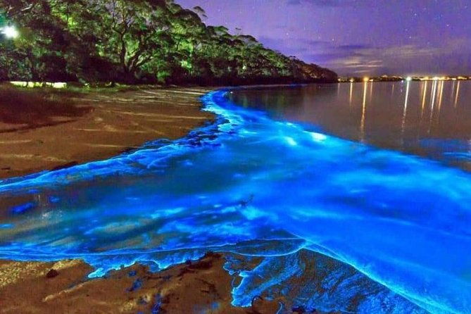 blue-hole-and-secret-falls-with-luminous-lagoonglistening-waters-private-tour
