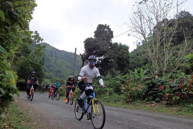 blue-mountain-bicycle-tour-from-ocho-rios