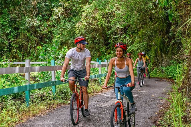 blue-mountain-bicycle-tour